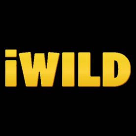 iWild Casino platform